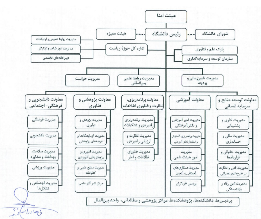 ساختار سازمانی دانشگاه تربیت مدرس