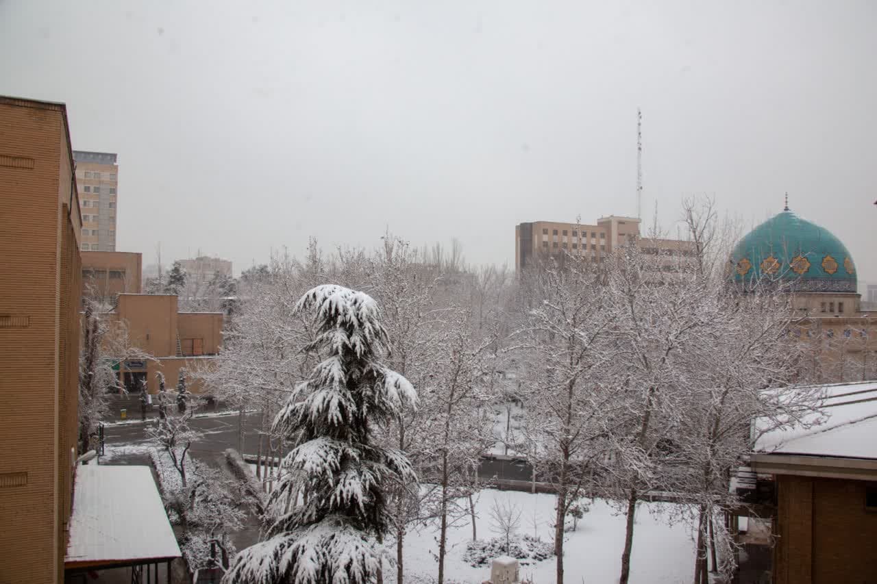 گزارش تصویری روز برفی دانشگاه